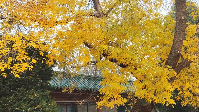 图片1.JPG