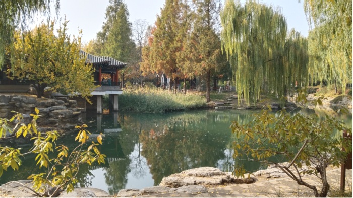 图片5.JPG